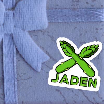 Sticker Jaden Asparagus Gift package Image