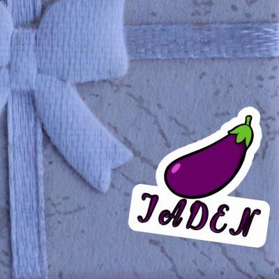 Aubergine Sticker Jaden Gift package Image