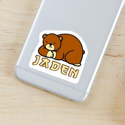 Sticker Bear Jaden Laptop Image