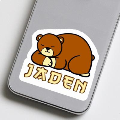 Sticker Bear Jaden Image