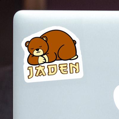 Sticker Bear Jaden Image