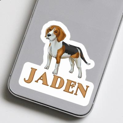 Autocollant Beagle Jaden Image