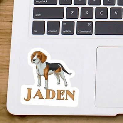 Autocollant Beagle Jaden Image