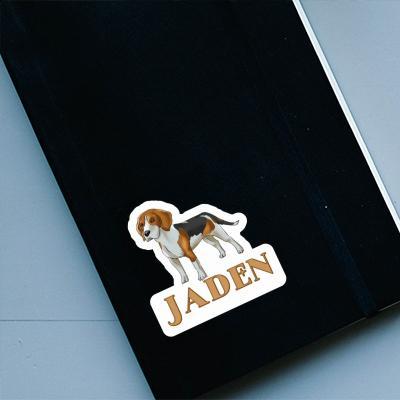 Autocollant Beagle Jaden Gift package Image