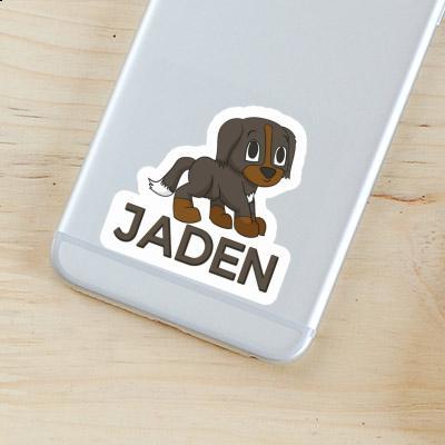 Jaden Sticker Bernese Mountain Dog Notebook Image