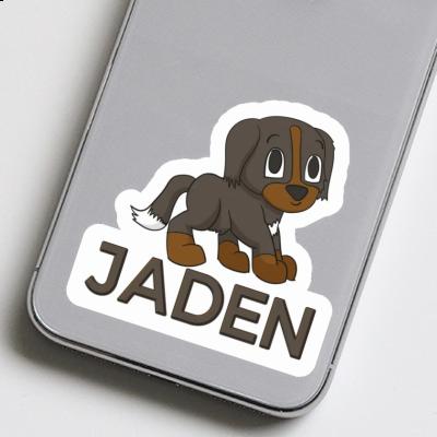 Jaden Sticker Bernese Mountain Dog Image