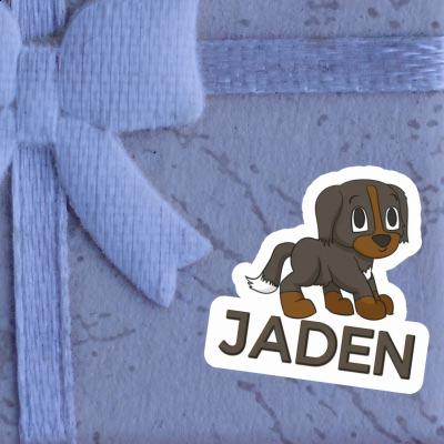 Jaden Sticker Bernese Mountain Dog Notebook Image