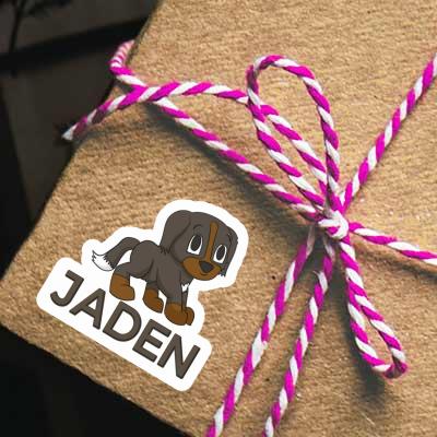 Jaden Sticker Bernese Mountain Dog Notebook Image