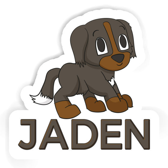 Jaden Sticker Bernese Mountain Dog Image