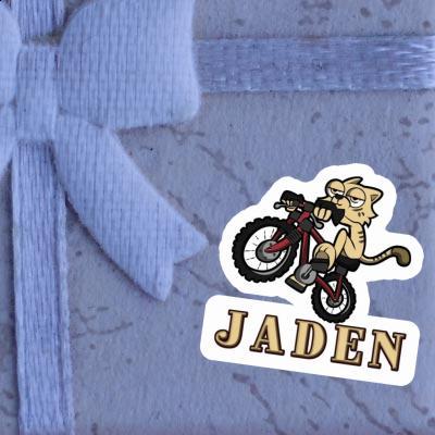 Cat Sticker Jaden Gift package Image