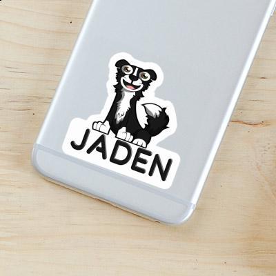 Jaden Autocollant Border Collie Gift package Image