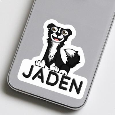 Jaden Autocollant Border Collie Notebook Image