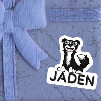 Jaden Autocollant Border Collie Gift package Image