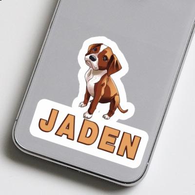 Jaden Autocollant Boxer Laptop Image