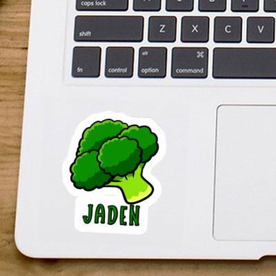 Sticker Broccoli Jaden Laptop Image