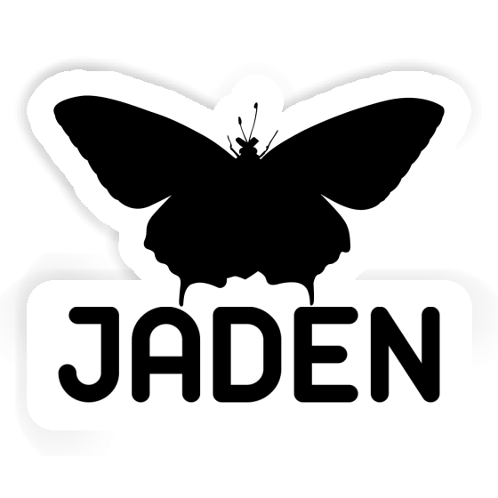 Autocollant Papillon Jaden Gift package Image