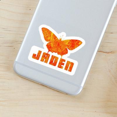 Autocollant Papillon Jaden Gift package Image