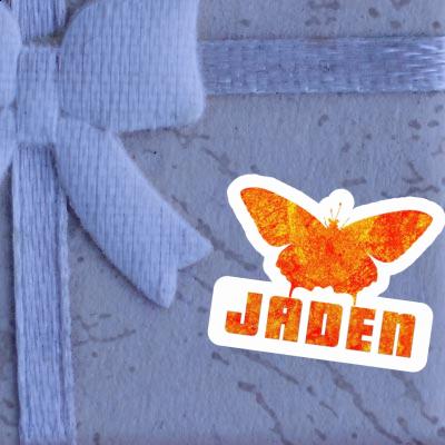 Autocollant Papillon Jaden Image