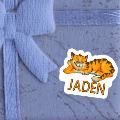 Autocollant Chat Jaden Gift package Image