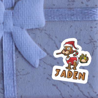 Jaden Sticker Christmas Cat Gift package Image