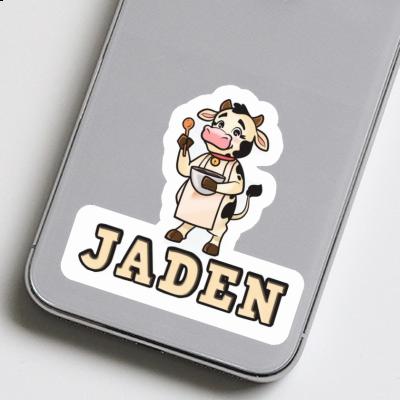 Sticker Jaden Cook Gift package Image