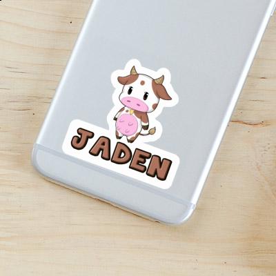 Autocollant Vache Jaden Gift package Image