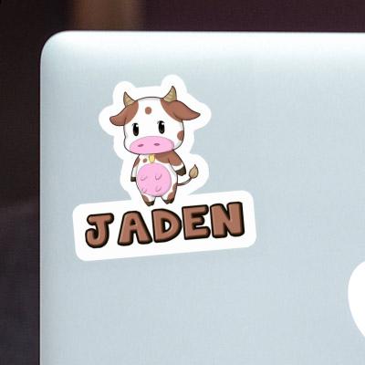 Jaden Sticker Kuh Gift package Image