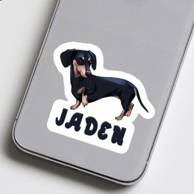 Sticker Dachshund Jaden Image