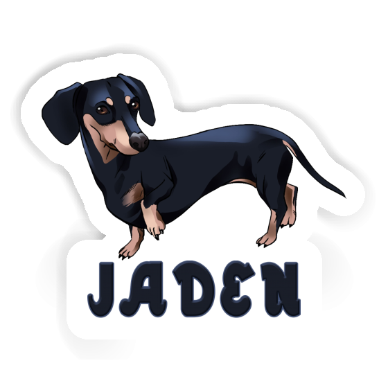 Sticker Dachshund Jaden Notebook Image