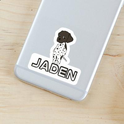 Braque Allemand Autocollant Jaden Laptop Image