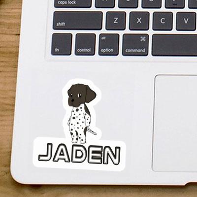 Jaden Aufkleber Deutsch Kurzhaar Laptop Image