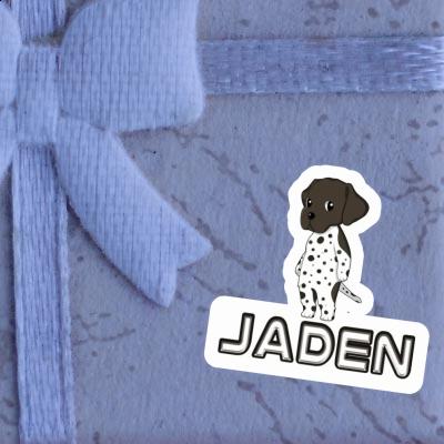 Sticker Jaden German Shorthaired Pointer Gift package Image