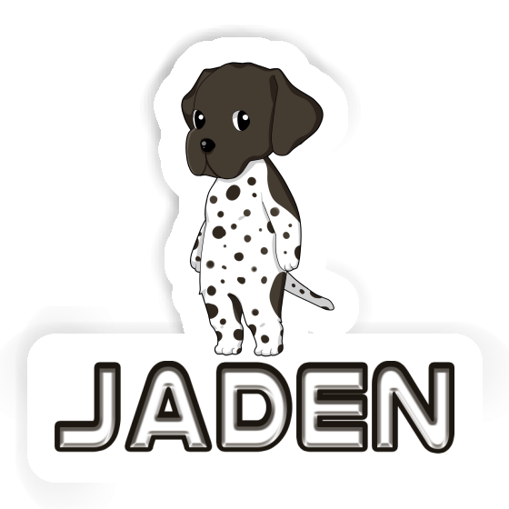 Sticker Jaden German Shorthaired Pointer Laptop Image