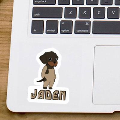 Sticker Jaden German Wirehaired Pointer Gift package Image