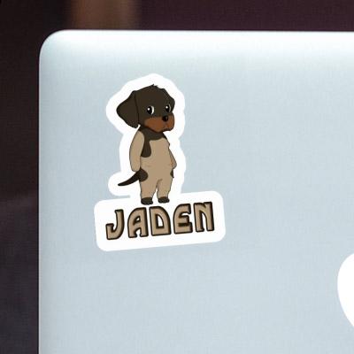 Sticker Jaden German Wirehaired Pointer Gift package Image