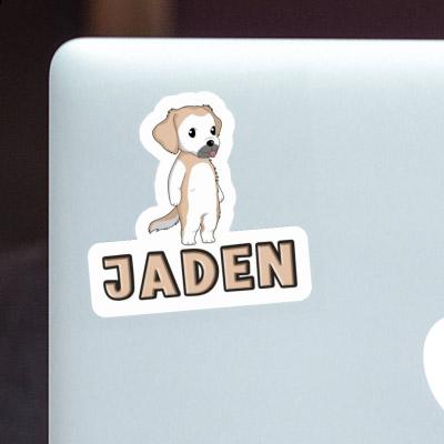 Aufkleber Golden Retriever Jaden Laptop Image