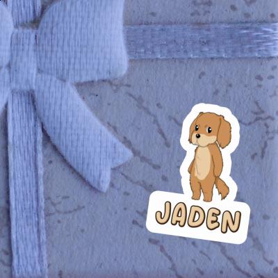 Sticker Jaden Hovawart Laptop Image