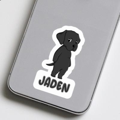 Sticker Jaden Labrador Notebook Image