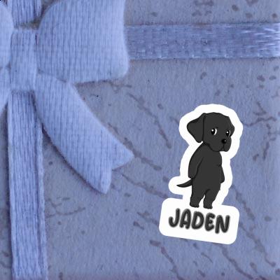 Labrador Autocollant Jaden Gift package Image