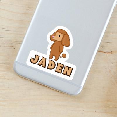 Sticker Jaden Pudel Laptop Image