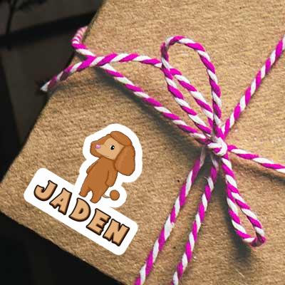 Sticker Jaden Pudel Gift package Image