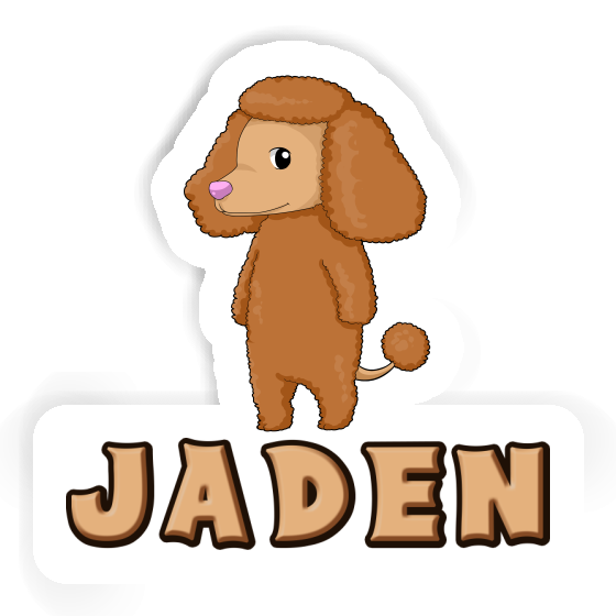 Sticker Jaden Pudel Laptop Image