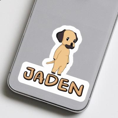 Rhodesian Ridgeback Sticker Jaden Laptop Image