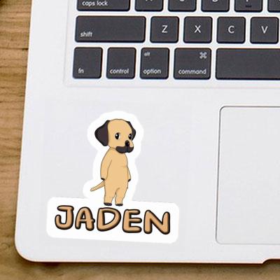 Rhodesian Ridgeback Sticker Jaden Laptop Image