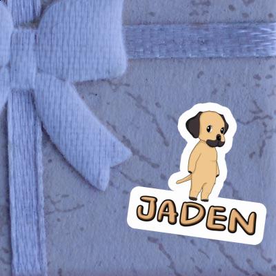 Rhodesian Ridgeback Sticker Jaden Laptop Image