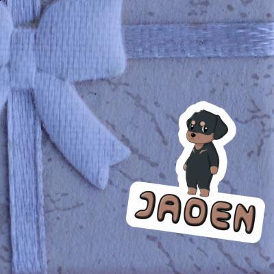 Sticker Jaden Rottweiler Image