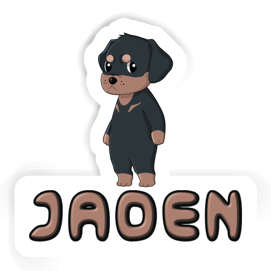 Autocollant Rottweiler Jaden Gift package Image