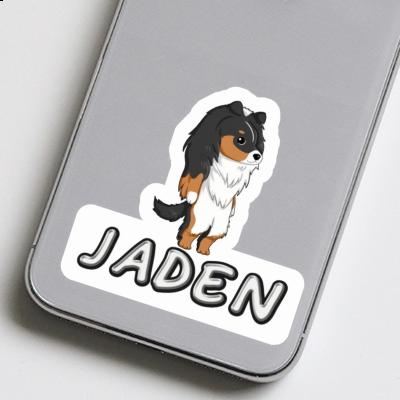 Sheltie Aufkleber Jaden Gift package Image