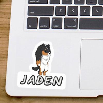 Sheltie Aufkleber Jaden Gift package Image