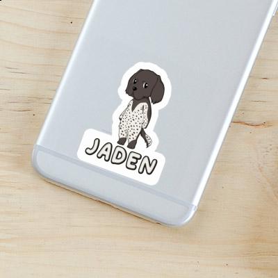 Sticker Small Munsterlander Jaden Gift package Image